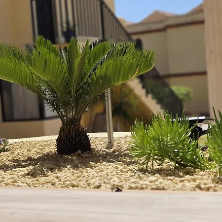 Appartement Enete Casa