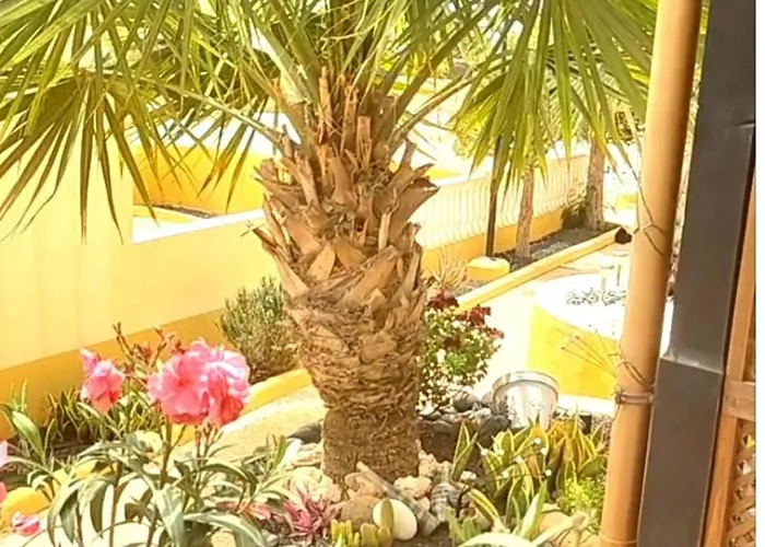 Appartement Enete Casa Costa Calma