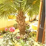 Apartamento Enete Casa Costa Calma